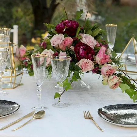 Elies 33 Bio Retreat (adults Only) 酒店 阿菲托斯