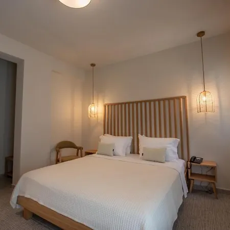酒店 Elies 33 Bio Retreat (adults Only) 阿菲托斯