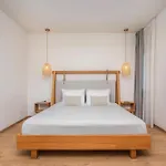Elies 33 Bio Retreat (adults Only) Hotel Afytos